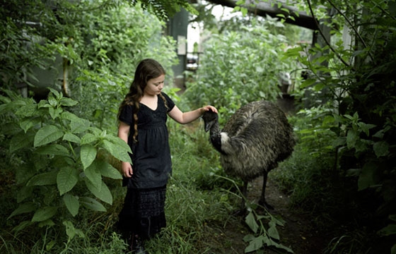 Amelia and the Animals