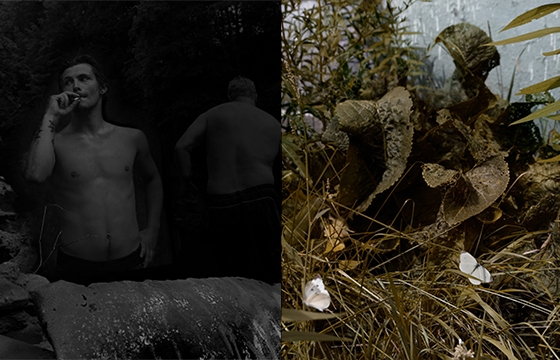 Raymond Meeks ongoing series "Cabbage White"