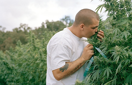 Maureen R. Drennan's "Meet Me in the Green Glenn"