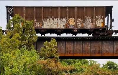 Hopper with a view...