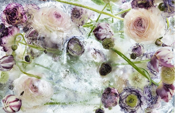 “Locked in the Ether” by Kenji Shibata