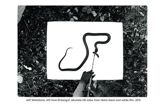 PRATT PHOTOGRAPHY LECTURES - Jeff Whetstone