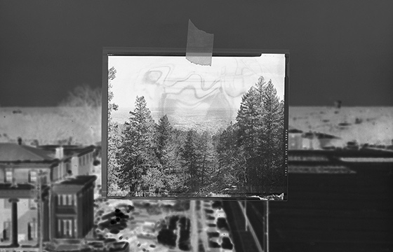 This World and Others Like It