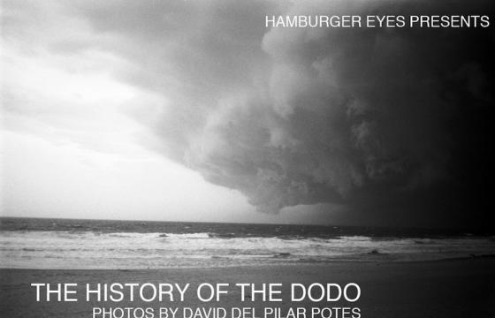 David Del Pilar Potes of Hamburger Eyes @ Family Bookstore, LA