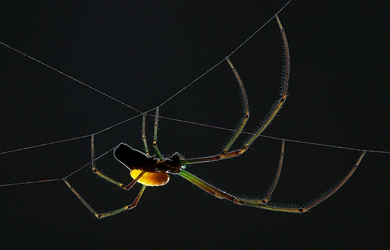 "Mindsuckers" by Anad varma