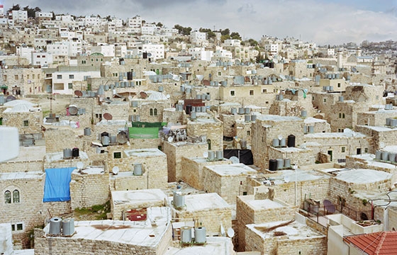 Stephen Shore @ 303 Gallery, NY