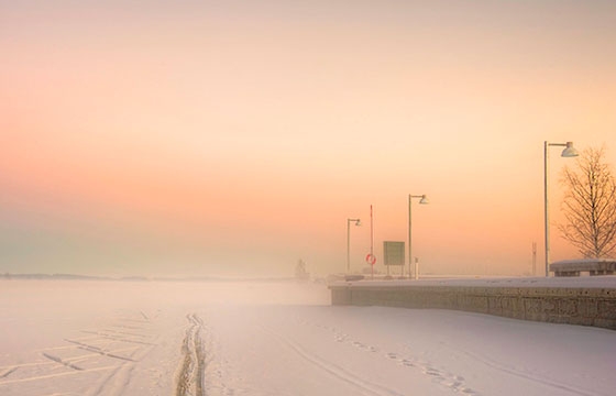 The Mysterious Landscapes of Appe Plan