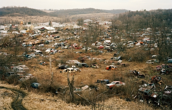 "Local Color" by Sean Stewart