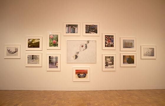 Catherine Opie: 700 Nimes Road @ MOCA Pacific Design Center