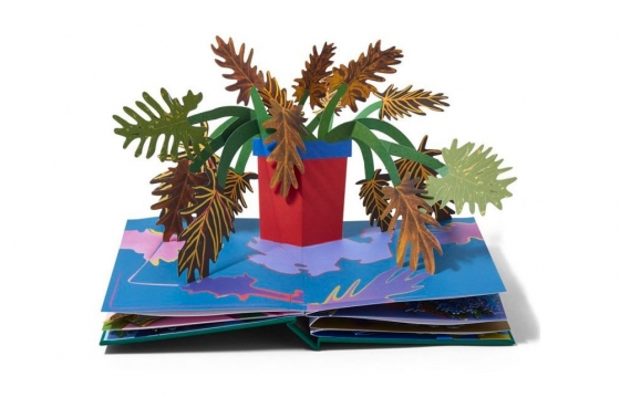 Daniel Gordon's Pop-Up Book of Houseplants