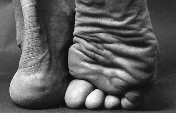 "Corpo Solido" by Lucyna Kolendo