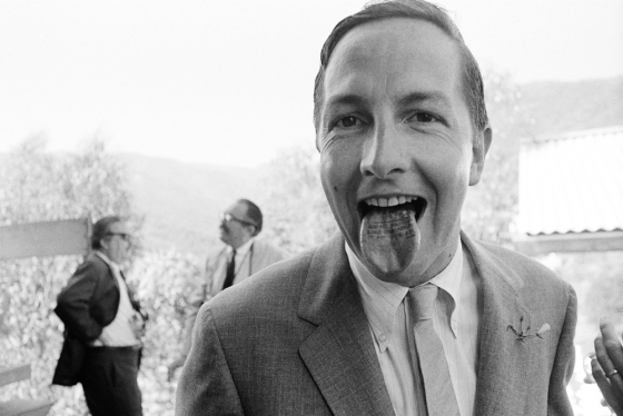 Robert Rauschenberg: Scamp Artist