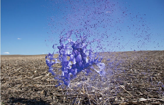 floto + warner Capture Hued Moments