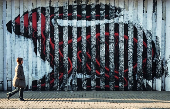 Belgian Street Artist ROA Releases 350-page Photobook with Lannoo Publishers