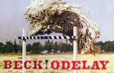 Sound and Vision: Beck's "Odelay," cover photography by Joan Ludwig image