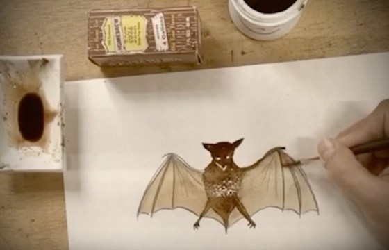 Art In Uncertain Times: And Now... "How To Paint a Bat" with Marcel Dzama (Watch)