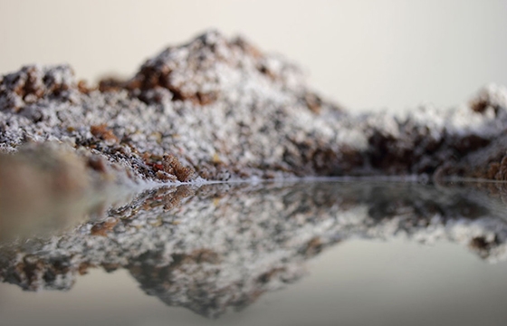 Photographic observations of negative human intervention and unbalanced ecosystems