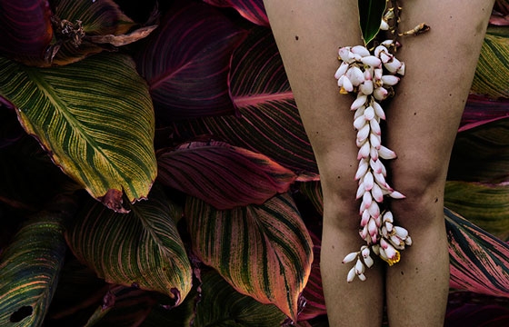 Naked in the Rainforest