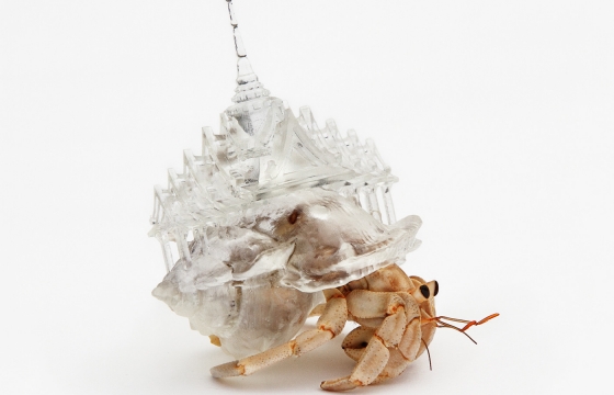 Japanese artist Aki Inomata 3D prints whimsical homes for hermit crabs