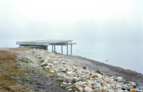 "Lost Boys" by Liz Calvi