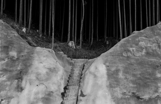 Day for Night: Toshio Shibata's Exploration of Light and Darkness
