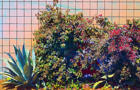 Examining how color is seen and understood by the human eye