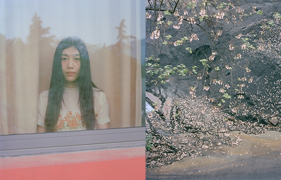 "Borderland" by Jiehao Su