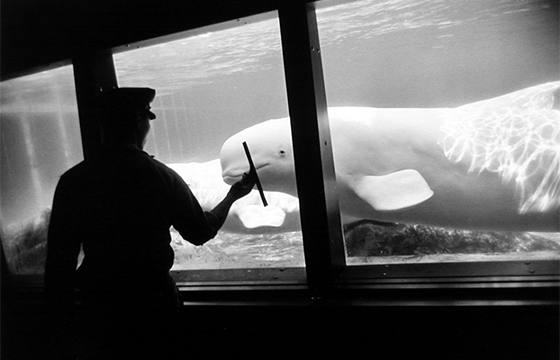 Kopeikin Gallery 25th Anniversary Show