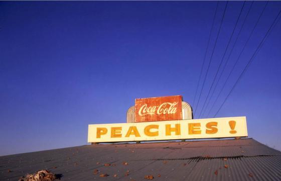 At War with the Obvious: Photographs by William Eggleston @ The MET, NYC