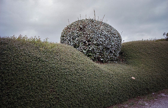 Alex Cretey Systermans