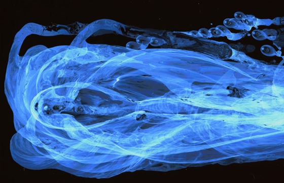 Moses Hacmon Photographs Water in Motion