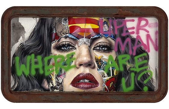 Cages and the Fallen Flags: Sandra Chevrier @ Mirus Gallery, Denver