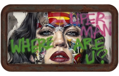Cages and the Fallen Flags: Sandra Chevrier @ Mirus Gallery, Denver image