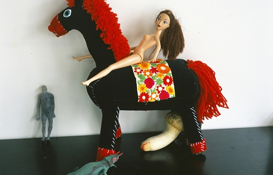 Nobuyoshi Araki's “A Desktop Paradise”