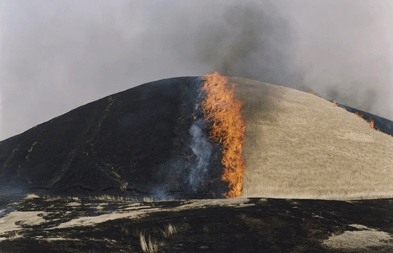 Rinko Kawauchi’s “Ametsuchi”
