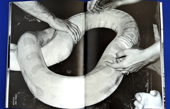 Hamburger Eyes No. 21