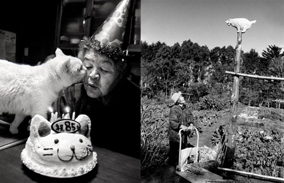 Miyoko Ihara: Misao the Big Mama and Fukumaru the Cat