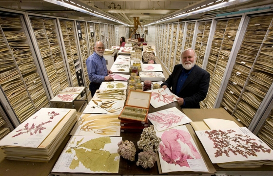 Inside the Collections of the Smithsonian