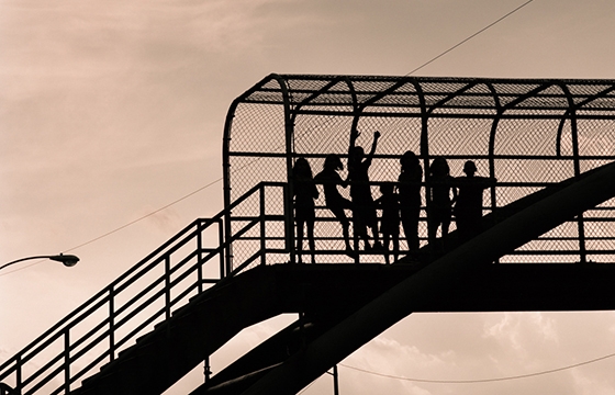 The work of Daniel Shea