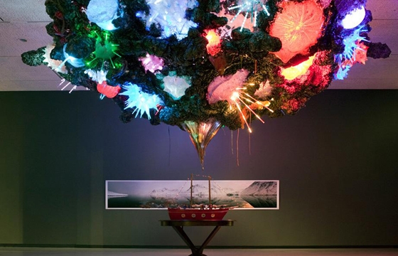 The Work of Sarah Anne Johnson