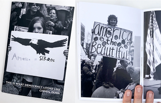 Cheryl Dunn's "This is What Democracy Looks Like"