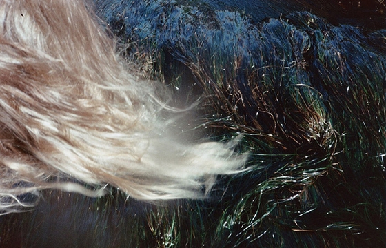 Joe Curtin’s “Visions”