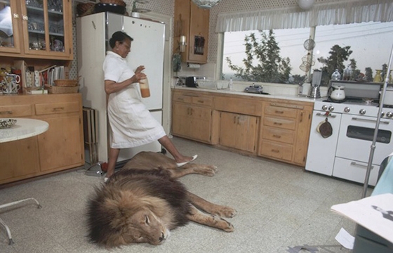 Tippi Hedren's 400 Pound House Cat