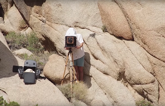 David Benjamin Sherry - The Artist's Studio