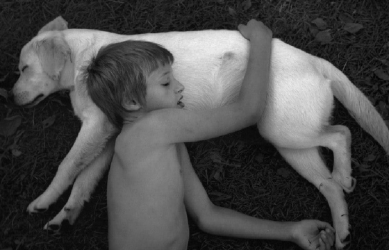 The Gentle Tenderness of Pentti Sammallahti's Photographs