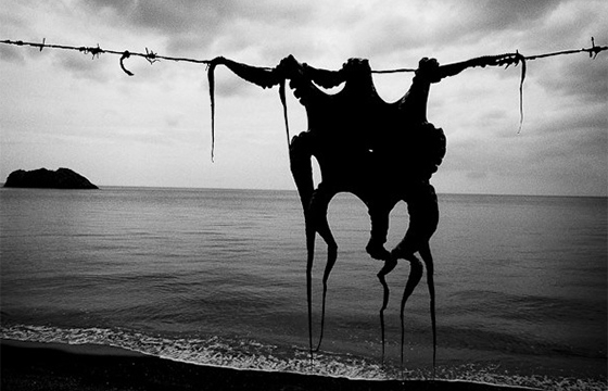 Photography by Susanne Otterberg