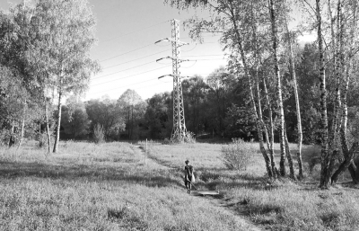 Unfold: The Organic and Natural Progression of Lucy McLauchlan (Updated with Installation Images)