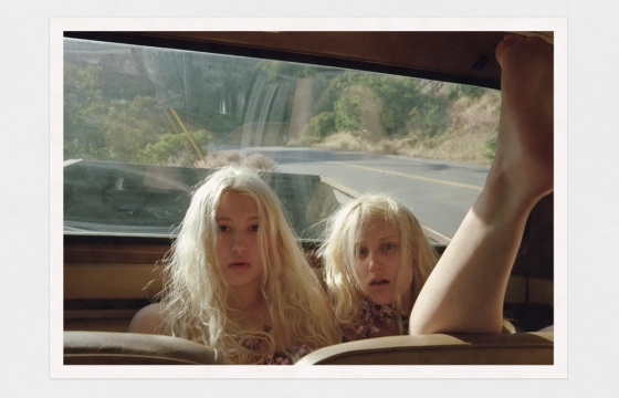 مجلة جوكستابوز
«صور على الثلاجات»
في هاركاويك — مدينة نيويورك