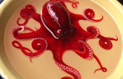 Hyperrealistic Animals Made From Painted Layers of Resin image
