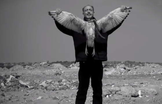 video: Roger Ballen's Asylum of the Birds (trailer)